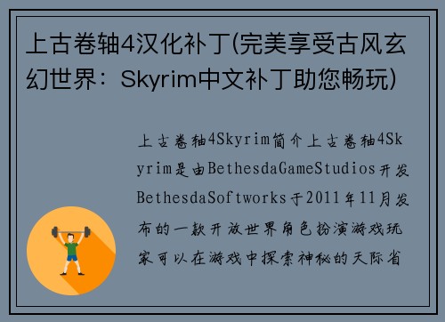 上古卷轴4汉化补丁(完美享受古风玄幻世界：Skyrim中文补丁助您畅玩)